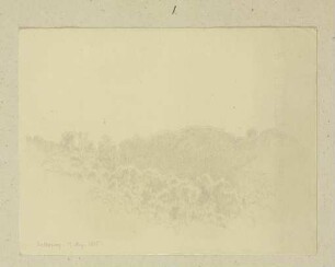 Baumlandschaft bei Osterspai
