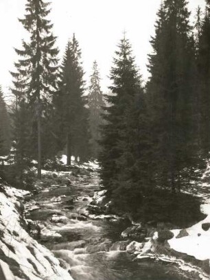 Schwarze Pockau bei der Teufelsmauer zur Zeit der Schneeschmelze