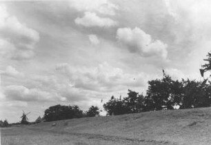Im Alten Land. Hinter dem Elbdeich stehen die Kirschbäume. Aufgenommen 1935