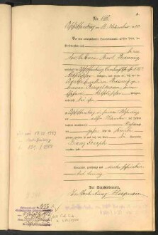 Standesamtsbuch der Stadt Aschaffenburg: Geburten 365/1900 - 184/1901