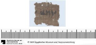 Aramäischer Papyrus, aramäische Version der Behistun‚ Inschrift Dareios’ I., Fragment