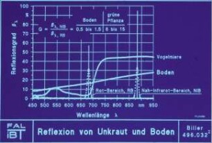 Reflexion von Unkraut und Boden