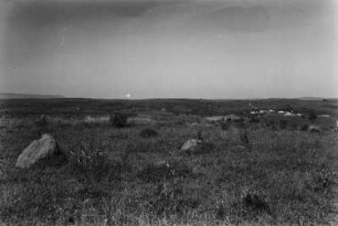 Landschaft in Brasilien : Blick in eine Graslandschaft in Brasilien mit einzelnen Büschen. Rechts im Hintergrund Häuser, links im Vordergrund ein Felsen.