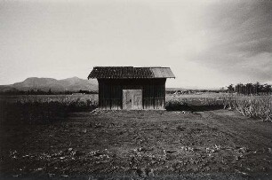 "Mulberry Field" aus der Serie "To the Villages"