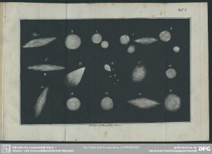 Taf. I, Fig. 1-15