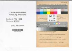 Entnazifizierung Alexander Zink, geb. 29.09.1904 (Vertreter)