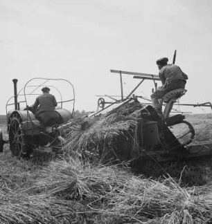 Feld- und Erntearbeiten, Roggenmahd motorisiert, Radschlepper, Roggenernte
