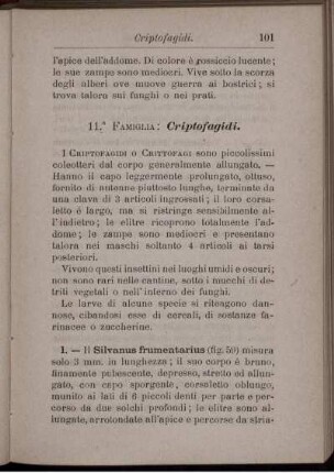11. Famiglia: Criptofagidi.
