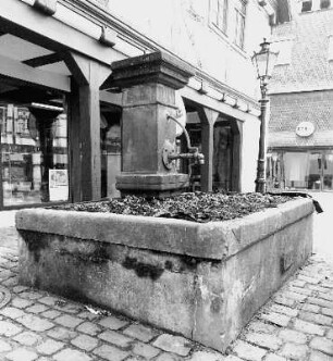 Laufbrunnen (''Kronenbrunnen''); Michelstadt, Obere Pfarrgasse (vor Nr. 25)