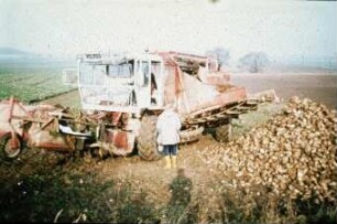 Fotografie: Erntetechnik, Zuckerrübe, Zuckerrübenköpfrodebunker selbstfahrend, Be- und Entladen