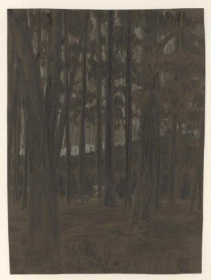 [Landschaft]