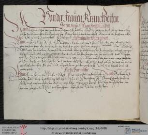 Gynäkologische Rezepte