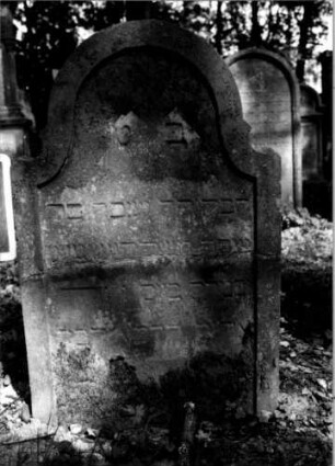 Grabstein 253 (Index: 100112106) Material: Sandstein Zustand: quer gebrochen und repariert, abgeblättert mit Textverlust Maße HxBxT: 94x63x10 cm Beschreibung: Stele, geschwungen eingezogener Rundbogenabschluß, Schriftfeld eingetieft: Grabstein 253