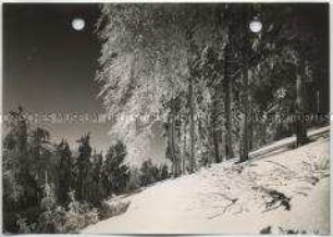 Winterlandschaft, Taunus