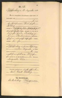 Standesamtsbuch der Stadt Aschaffenburg: Geburten 365/1900 - 184/1901
