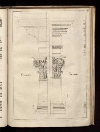 Illustration XXXVIIII: Cataneo Palladio