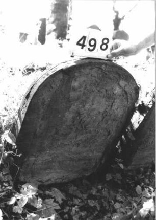 Grabstein 498