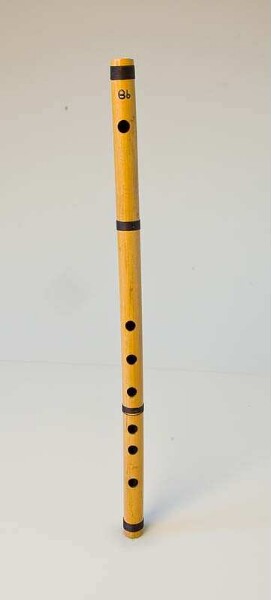 open transverse flute with finger holes