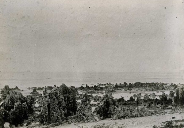 "Outer Reef, Nauru"