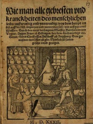 Wie man alle gebresten und kranckheiten des menschlichen leibs außwendig und ynnwendig von dem haupt an biß auff die füß ärtzneyen und vertreyben soll mit außgeprante[n] Wassern