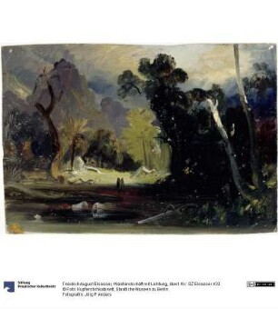 Waldlandschaft mit Lichtung