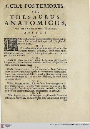 Curae posteriores eu thesaurus anatomicus