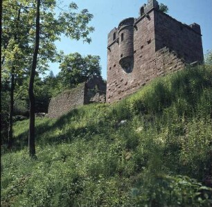 Burg Wildenberg (Wildenburg; um 1200 entstanden)