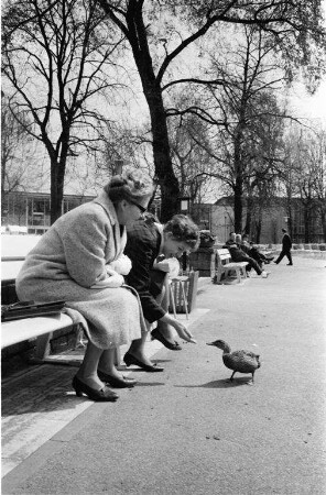Ostern im Stadtgarten.