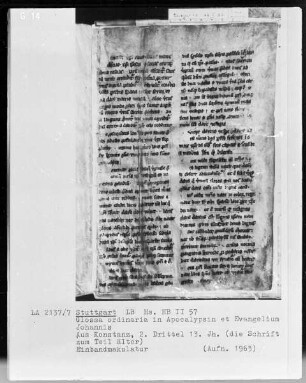 Apocalypsis et Evangelium secundum Johannem cum Glossa ordinaria — Einband mit hellem Lederbezug