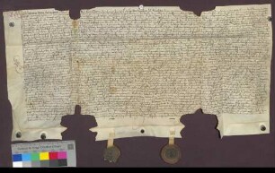Kaufbrief der Helena von Helmstatt geb. von Hattstatt verkauft dem Hans Heinrich von Landeck einen Zins ab der Stadt Waldkirch.