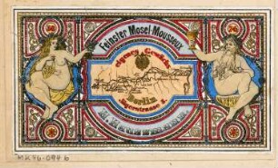 Weinflaschenetikett Monatskonkurrenz August 1878: Ansicht