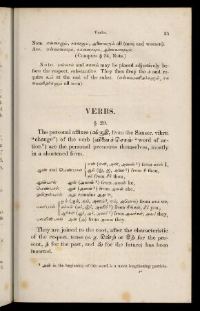 Verbs (§29 - §44)