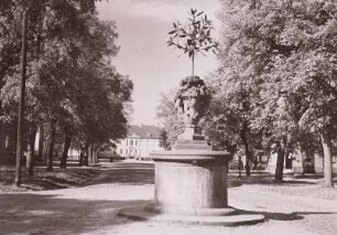 Vase mit Orangenbaum