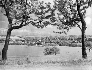 Döbeln, Stadtansicht : Döbeln. Blick auf die Stadt