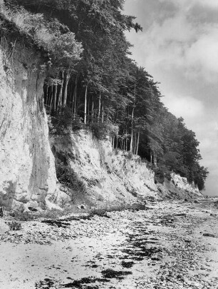 Ostseeküste bei Hohwacht im Kreis Plön. Die Ostsee fordert Tribut. Ausgespülte Küstenlandschaft