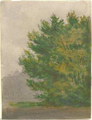 Neureuther, Lorenz; Landschaftskizzen - Baum (Ansicht)