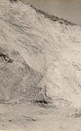 Elbtallandschaft. Sandgrube am Schirrberg bei Malschendorf. "Überkippte Falte" in diluvialen Sanden