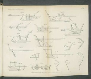 Tafel II. Fig. 19 - 33
