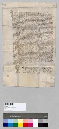 Der Notar Friedrich quondam Branndehardi von Berching beurkundet, dass der Kanoniker Heinrich Pelchinger von Baumburg als Prokurator des Kanonikers Ebenhauser, Vikars der Pfarrkirche in Sitzendorf, durch den Pfarrer Kaspar von Fraundorf als Subexekutor in die Korporalpossession der Pfarrei eingesetzt wurde.; nicht besiegelt