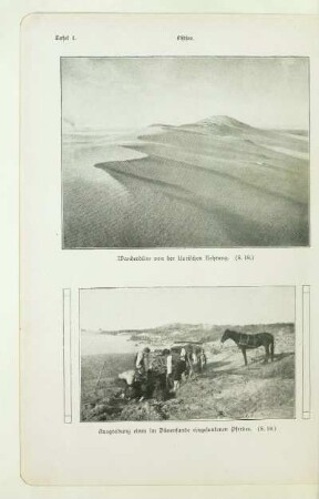 Wanderdüne von der Kurischen Nehrung