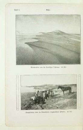 Wanderdüne von der Kurischen Nehrung