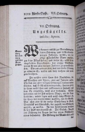 VII. Ordnung. Ungeflügelte.