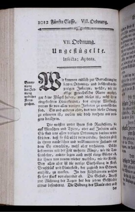 VII. Ordnung. Ungeflügelte.