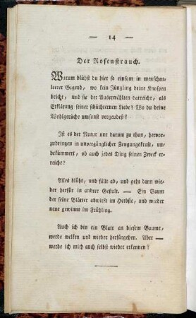 Der Rosenstrauch.