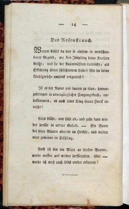 Der Rosenstrauch.