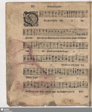 XII. Der Herr behüte dich
