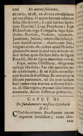106-111, Caput IX