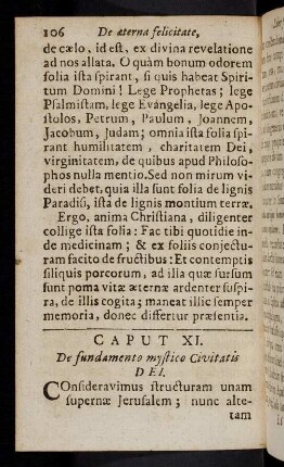 106-111, Caput IX