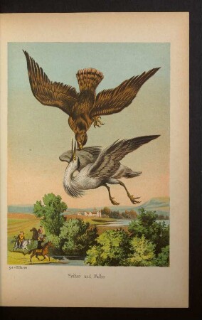 Tafel: Reiher und Falke.
