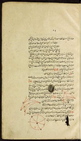 Illustration: f. 29r-29v